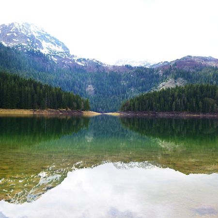 Guesthouse Zabljak المظهر الخارجي الصورة